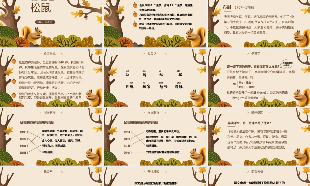 小学语文部编版五年级上册《松鼠》教育教学PPT课件（带内容）.pptx