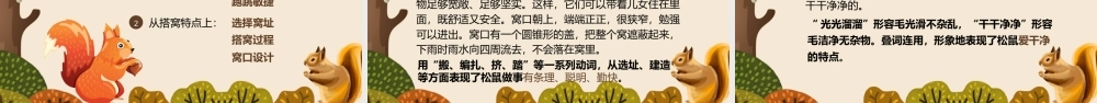小学语文部编版五年级上册《松鼠》教育教学PPT课件（带内容）.pptx
