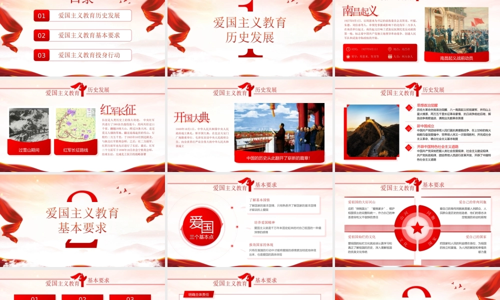 弘扬爱国主义精神践行爱国主义教育把新时代党的建设各项要求落到实处PPT课件（带内容）.ppt