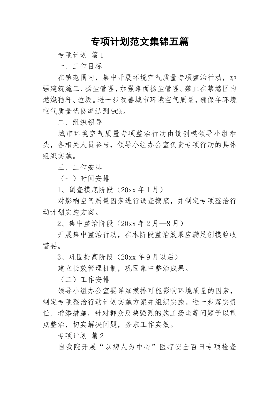 专项计划范文集锦五篇.doc_第1页