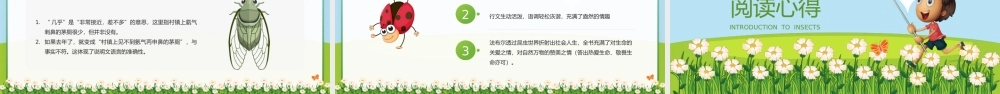 绿色卡通风《昆虫记》阅读分享导读PPT课件（带内容）.pptx