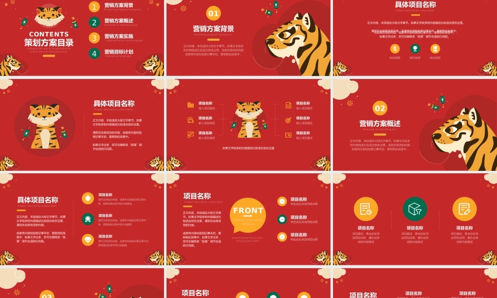 可爱卡通虎年年会活动策划方案ppt模板.pptx