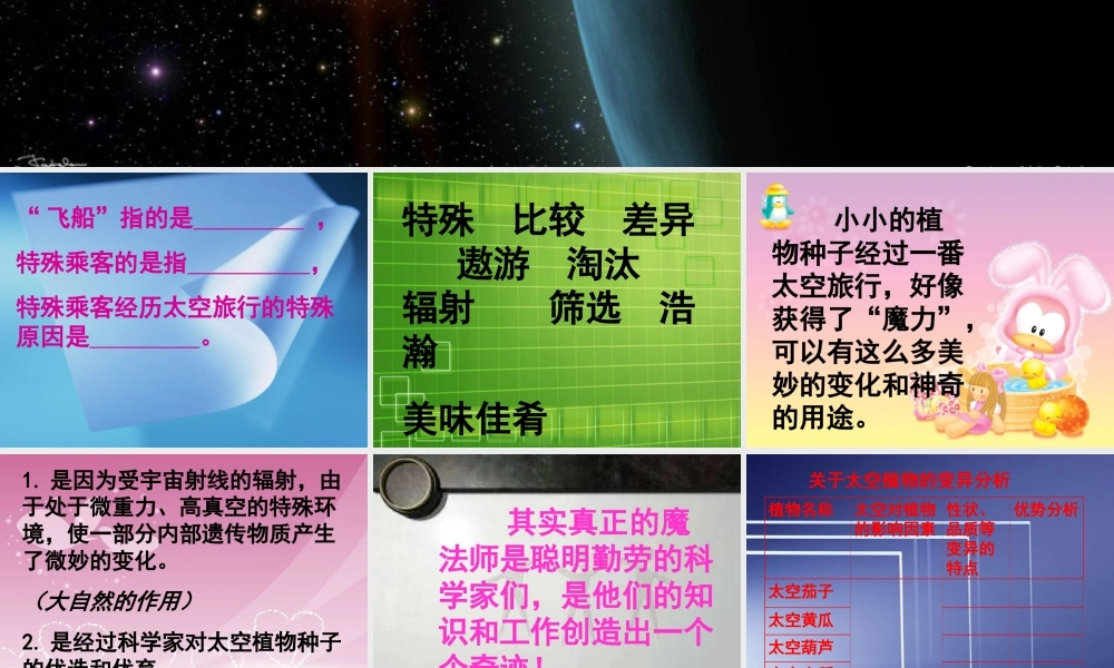 (小学课件）人教新课标四年级语文上册《飞船上的特殊乘客6》课件2.ppt