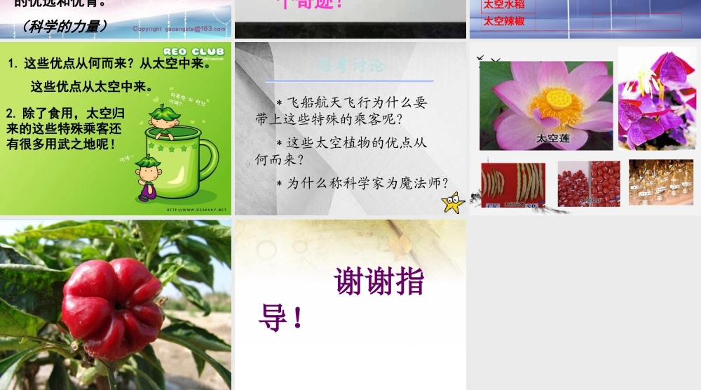 (小学课件）人教新课标四年级语文上册《飞船上的特殊乘客6》课件2.ppt