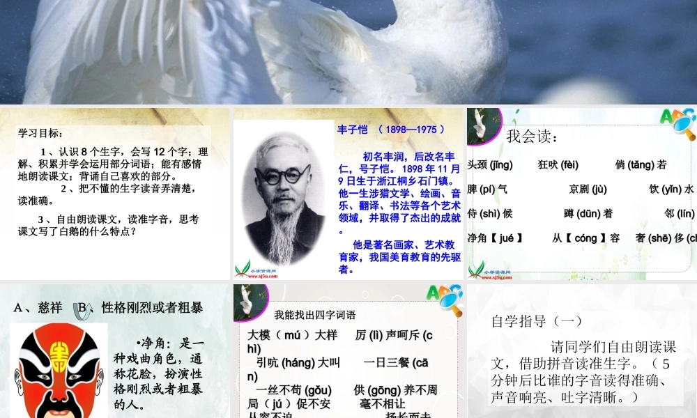 (小学课件）人教新课标小学四年级语文上册第四单元白 鹅.ppt