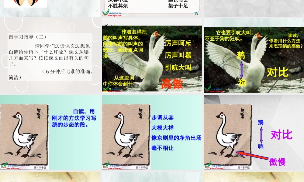 (小学课件）人教新课标小学四年级语文上册第四单元白 鹅.ppt