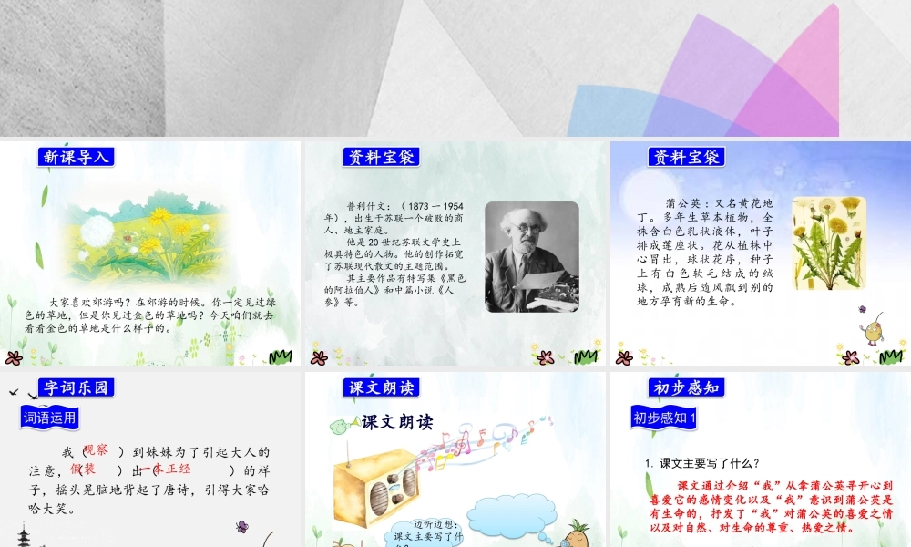 (小学课件）最新人教版部编本三年级上册语文6金色的草地.pptx