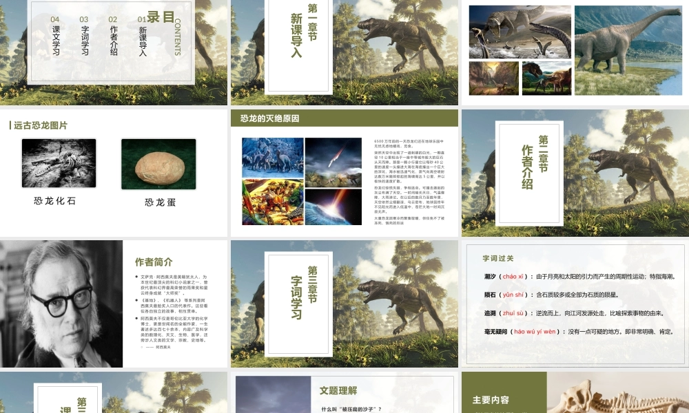 被压扁的沙子语文教学课件.pptx
