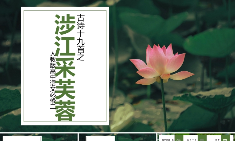高中语文《涉江采芙蓉》教学PPT.pptx