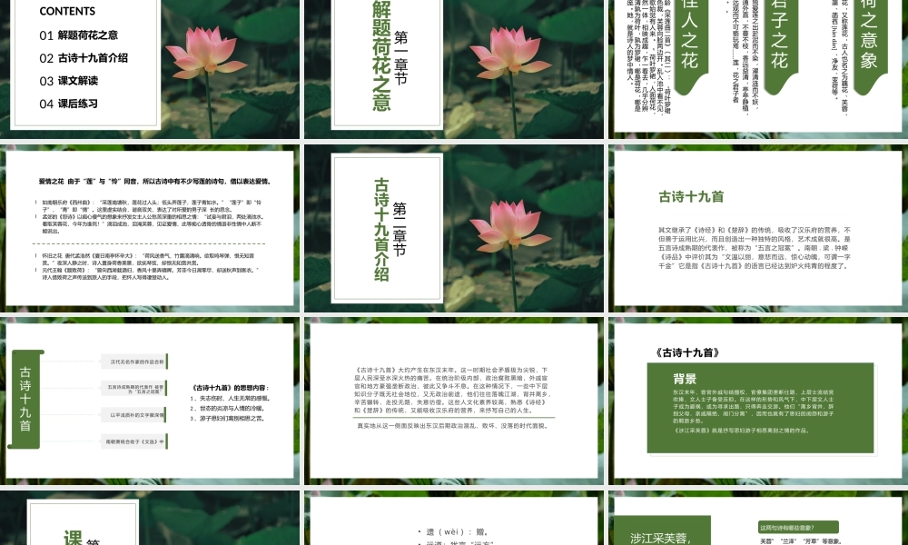 高中语文《涉江采芙蓉》教学PPT.pptx