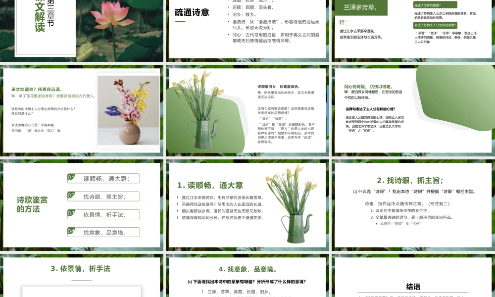 高中语文《涉江采芙蓉》教学PPT.pptx