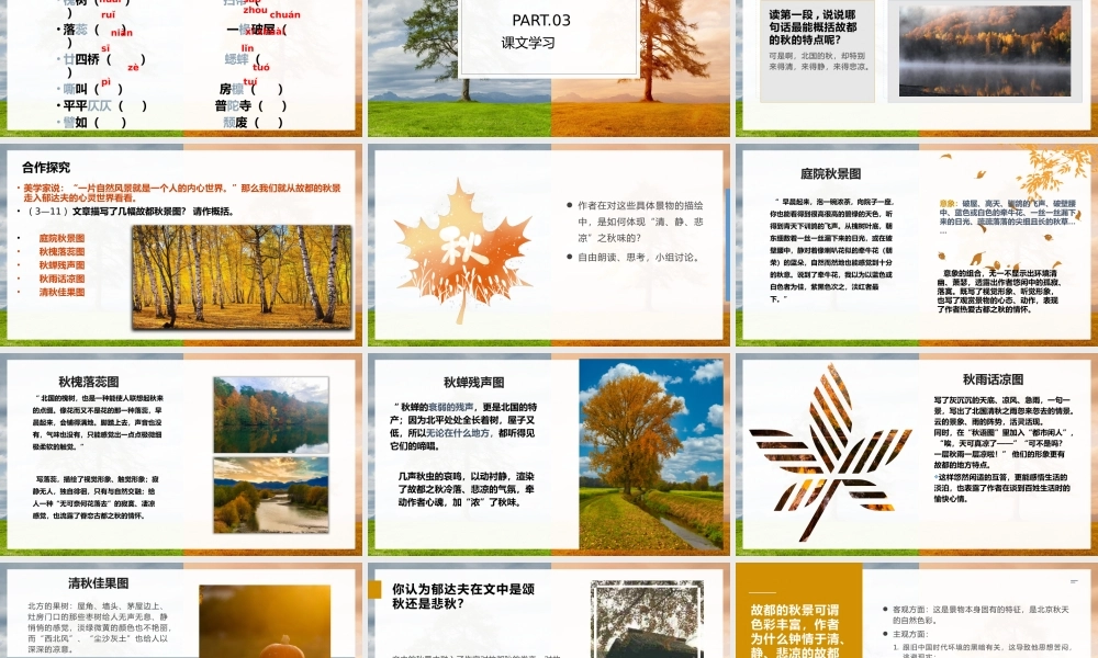 高中语文《故都的秋》教学课件.pptx