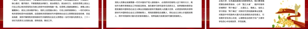 红色党政深刻理解两个确立的决定性意义PPT模板.pptx
