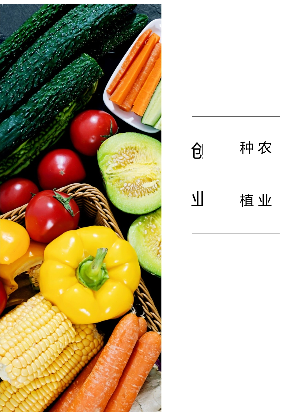 农业种植创业计划书.docx_第1页