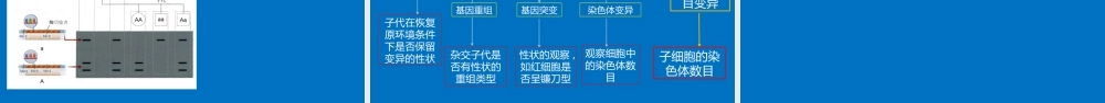 2022年高考生物命题趋势及二轮复习策略.pptx