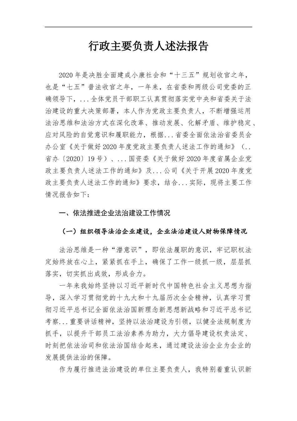 行政主要负责人述法报告.docx_第1页