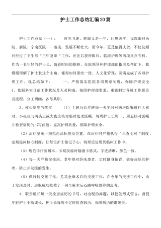护士工作总结汇编20篇.docx