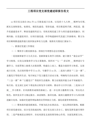 工程项目党支部党建述职报告范文.docx