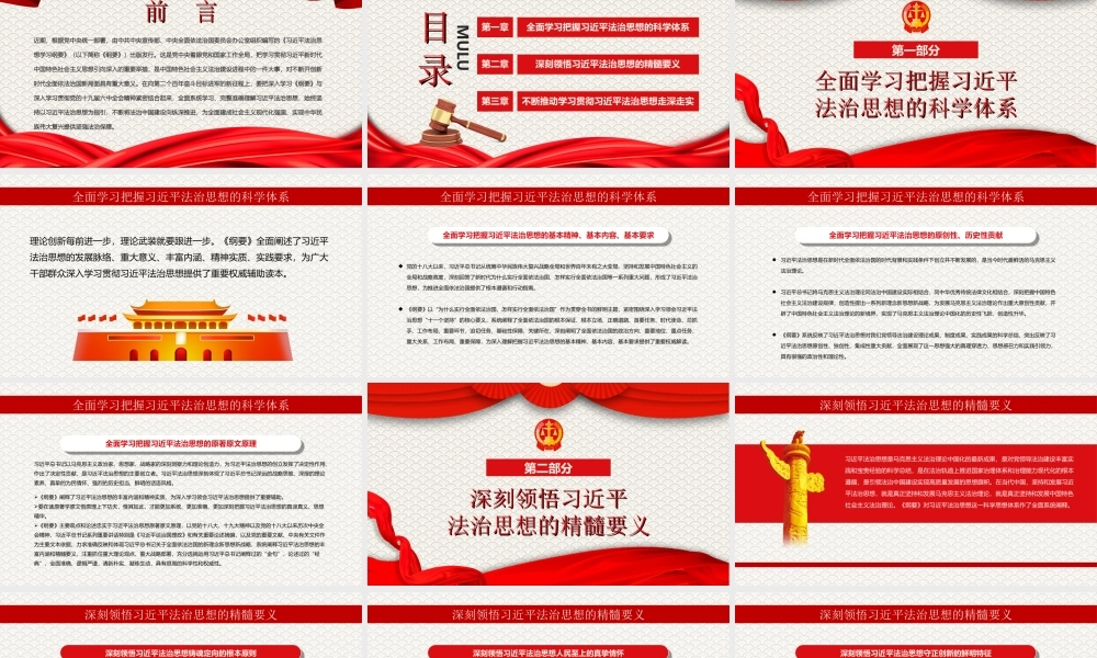 学深悟透做实法治思想奋力开辟全面依法治国新境界专题党课PPT课件（带内容）.ppt