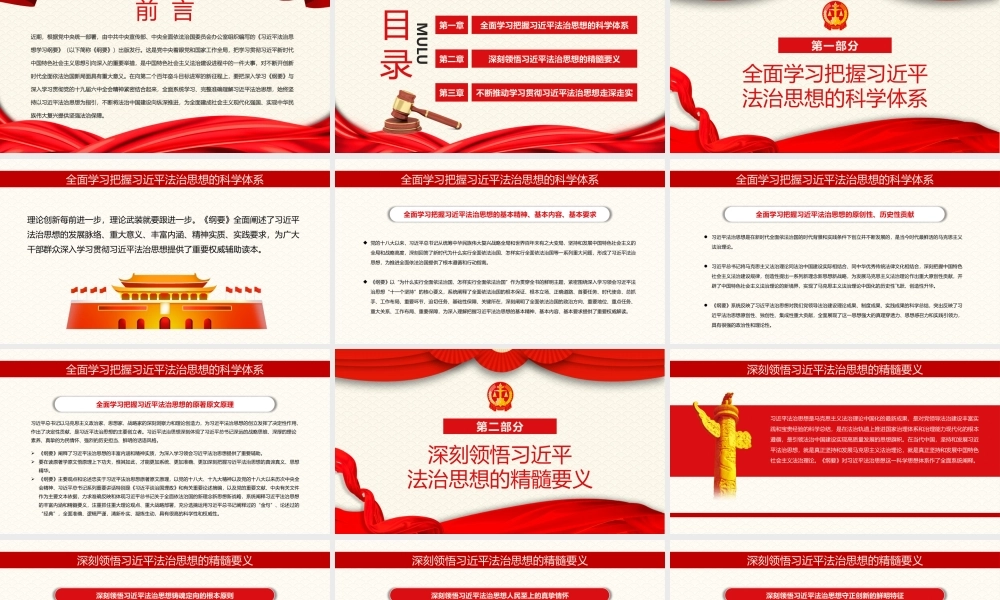 学深悟透做实法治思想奋力开辟全面依法治国新境界专题党课PPT课件（带内容）.pptx