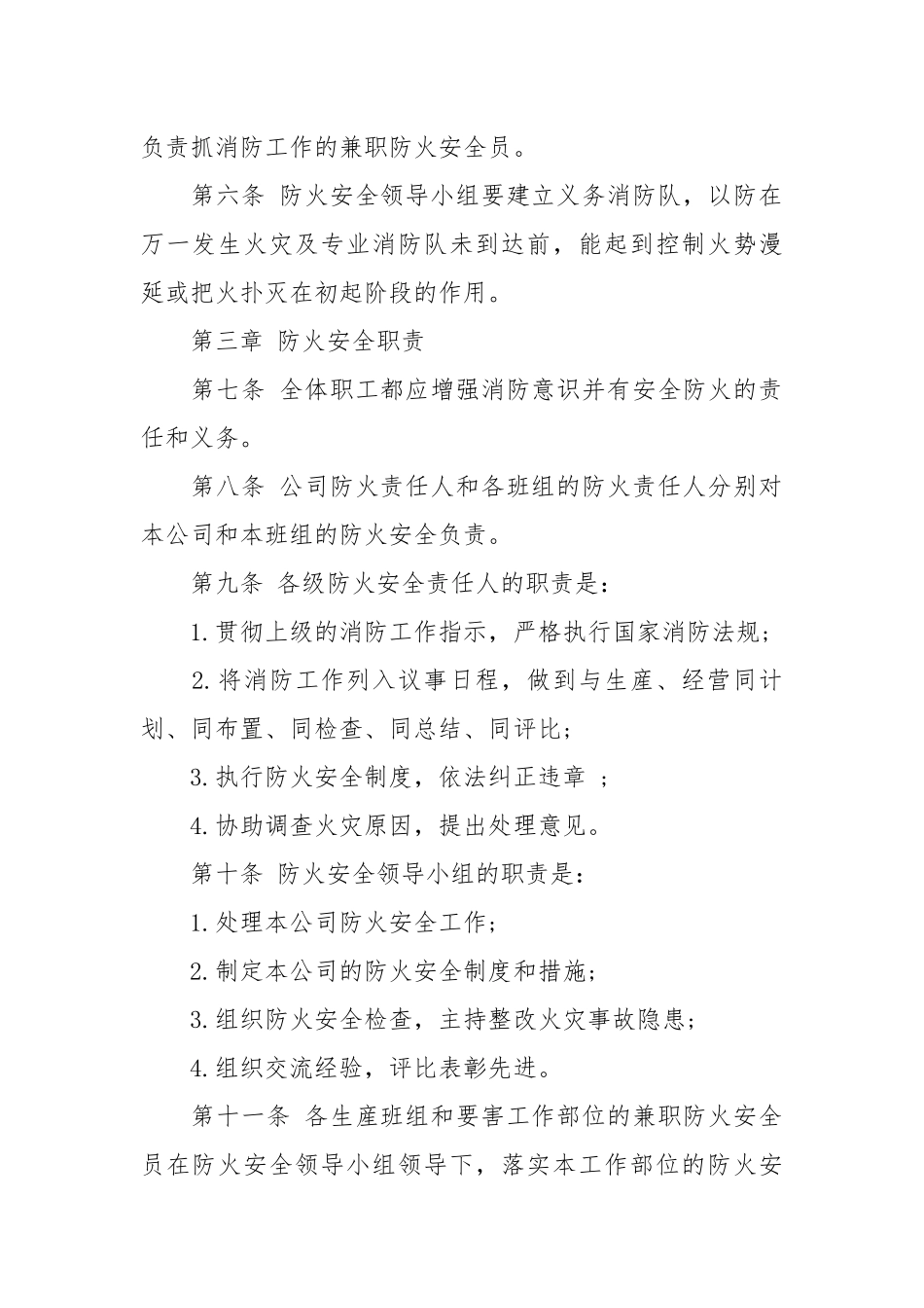公司安全管理制度.docx_第2页