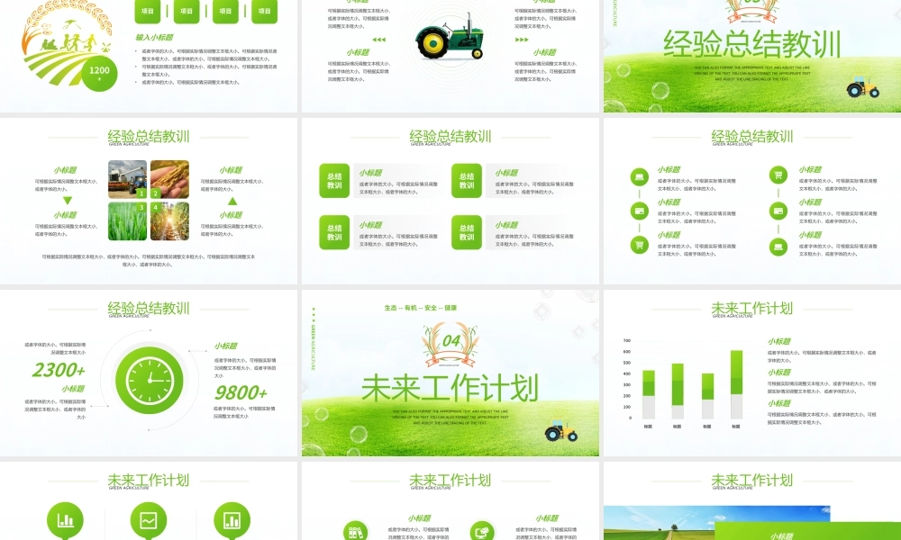 绿色农业项目工作阶段分析报告PPT模板.pptx