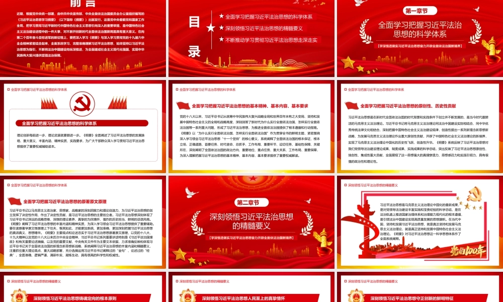 红色简约奋力开辟依法治国新境界PPT模板.pptx