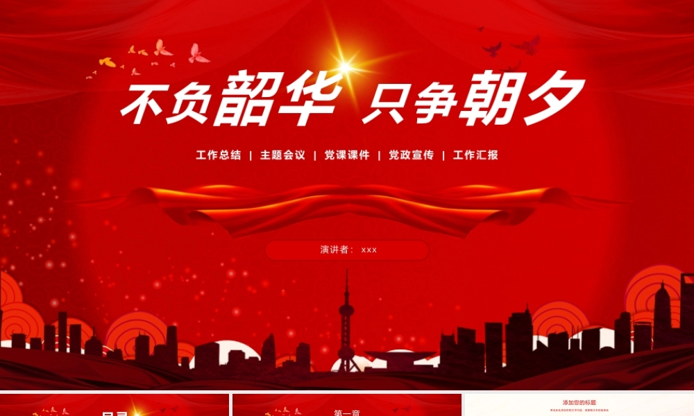 不负韶华党政党建工作总结计划.pptx