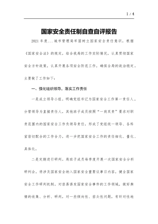 国家安全责任制自查自评报告.docx