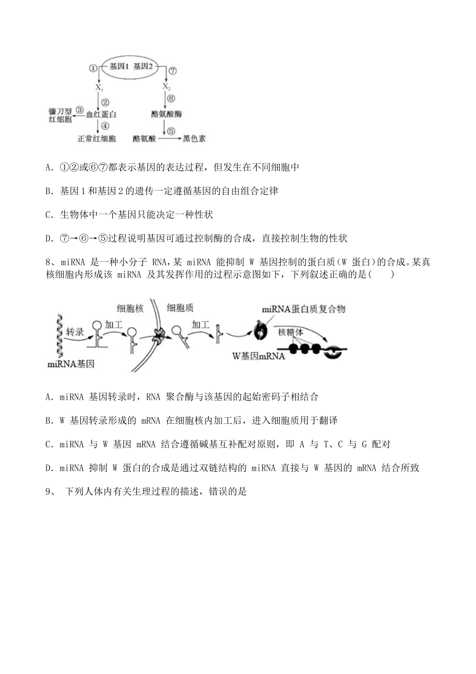 高中生物2020年年末周练知识点——基因指导蛋白质的合成和基因表达的调控过程训练题（1）【含详解】.doc_第3页