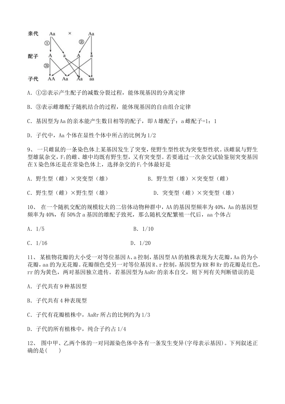 高中生物全国综合专练复习：遗传的基本定律训练题【含详解】.doc_第3页