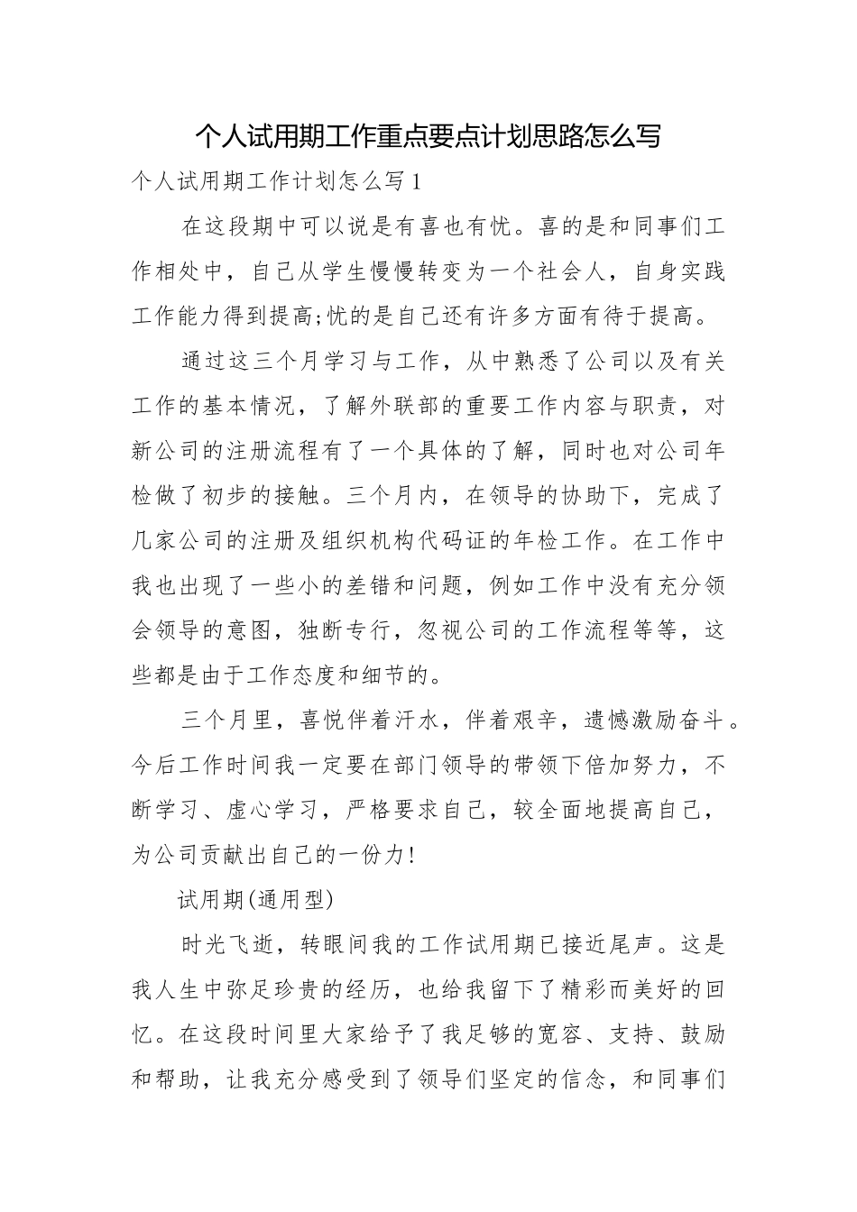 个人试用期工作重点要点计划思路怎么写.docx_第1页