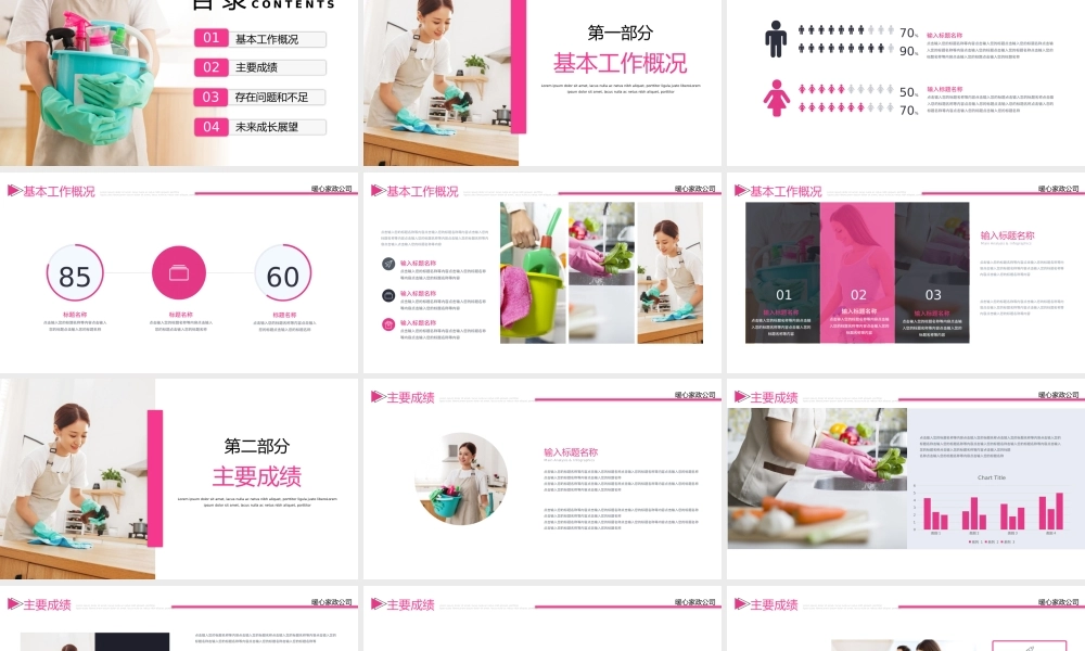 家政工作总结汇报PPT模板.pptx