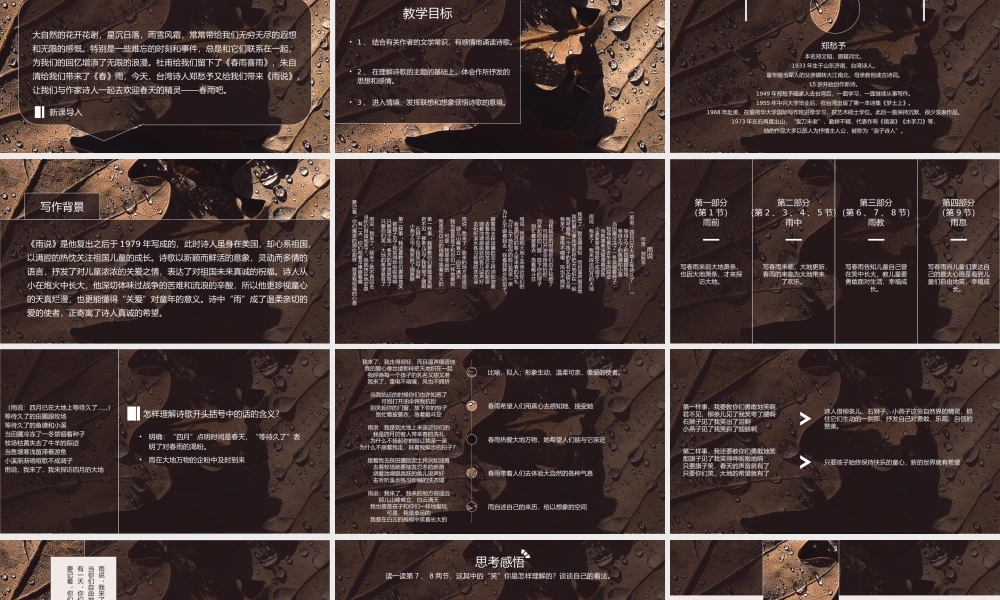 人教版初中语文九年级《雨说》PPT教学课件.pptx