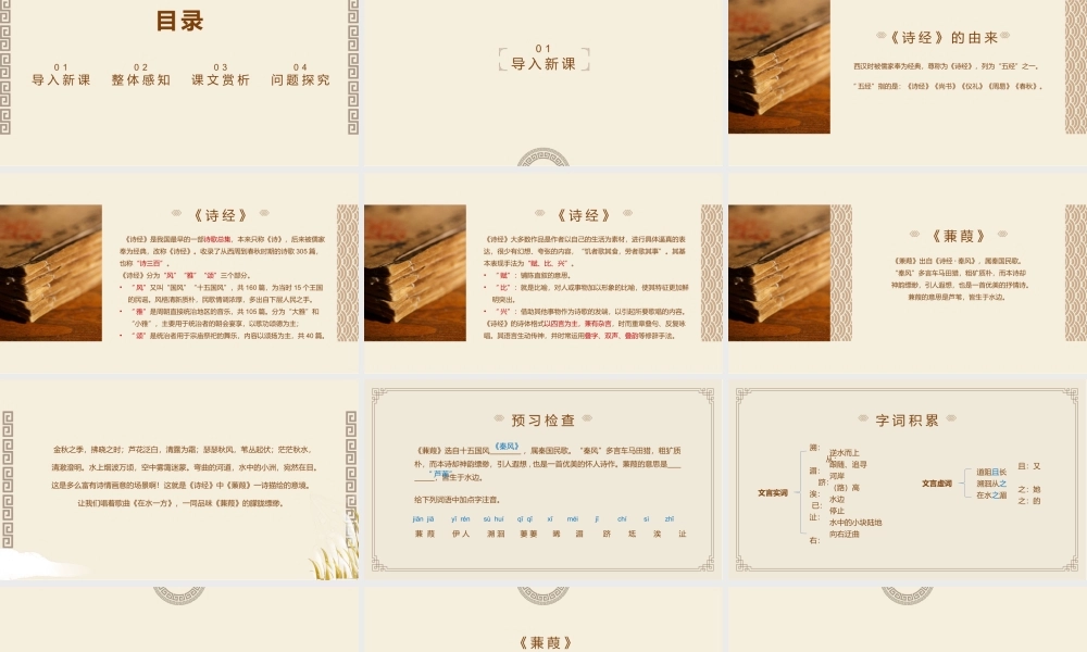 语文人教版八年级下册《诗经蒹葭》教学课件.pptx