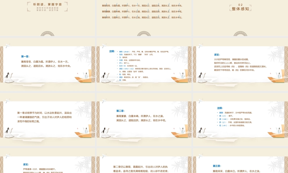 语文人教版八年级下册《诗经蒹葭》教学课件.pptx