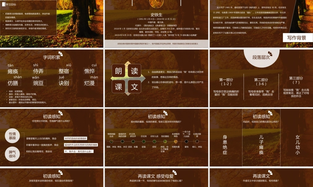 初中语文人教版七年级《秋天的怀念》教育教学课件.pptx