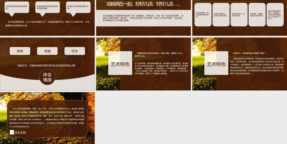 初中语文人教版七年级《秋天的怀念》教育教学课件.pptx
