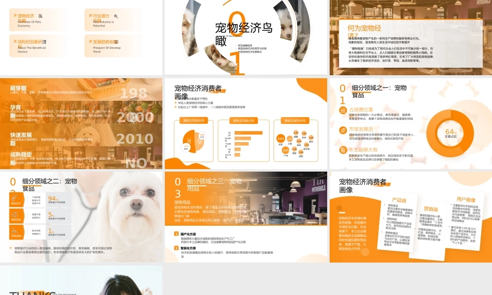 宠物经济发展趋势研究报告ppt课件（带内容）.pptx