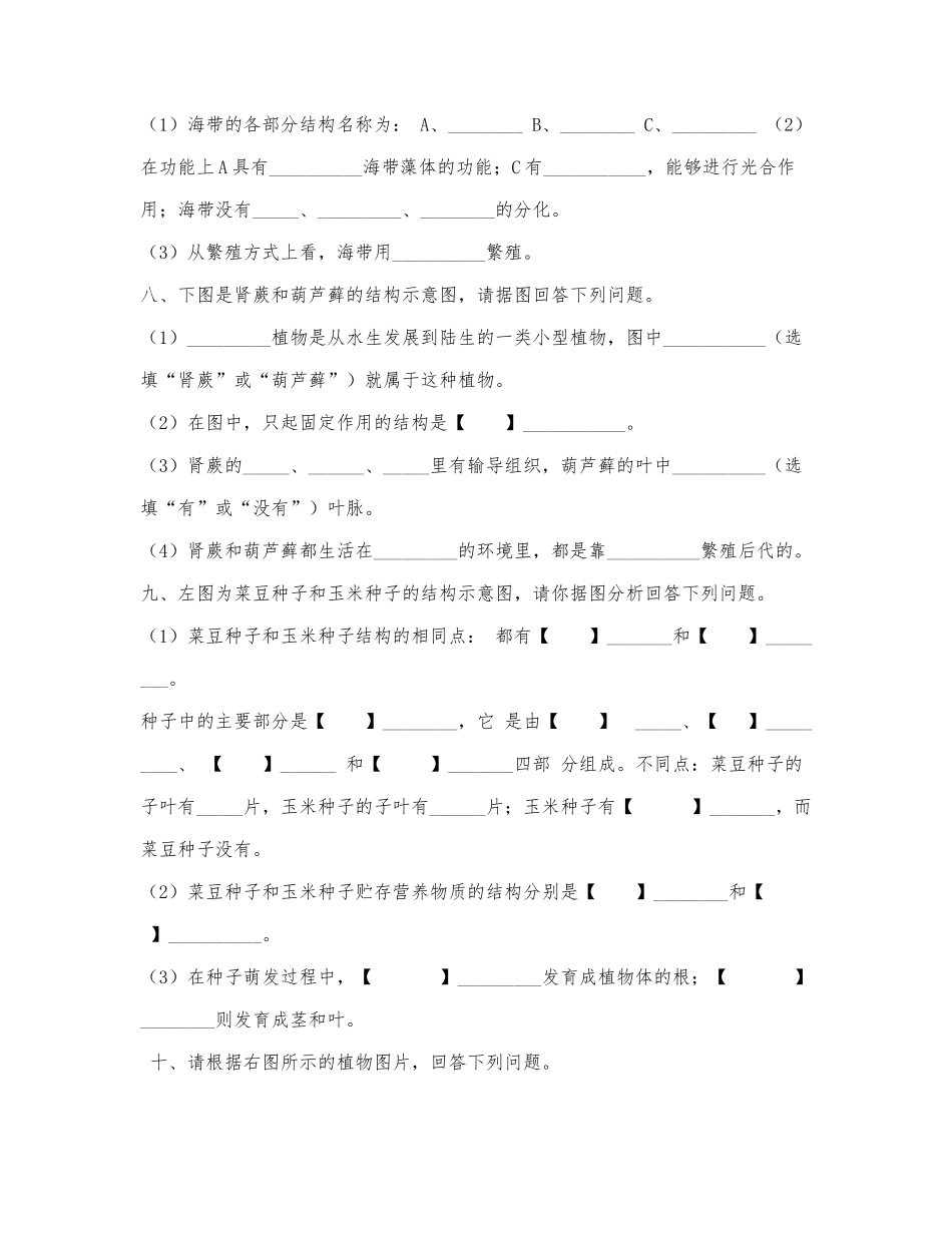七年级上册生物复习题（图文题）.docx_第3页