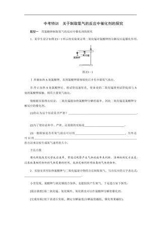 人教版九年级化学上册中考特训　关于制取氧气的反应中催化剂的探究.docx