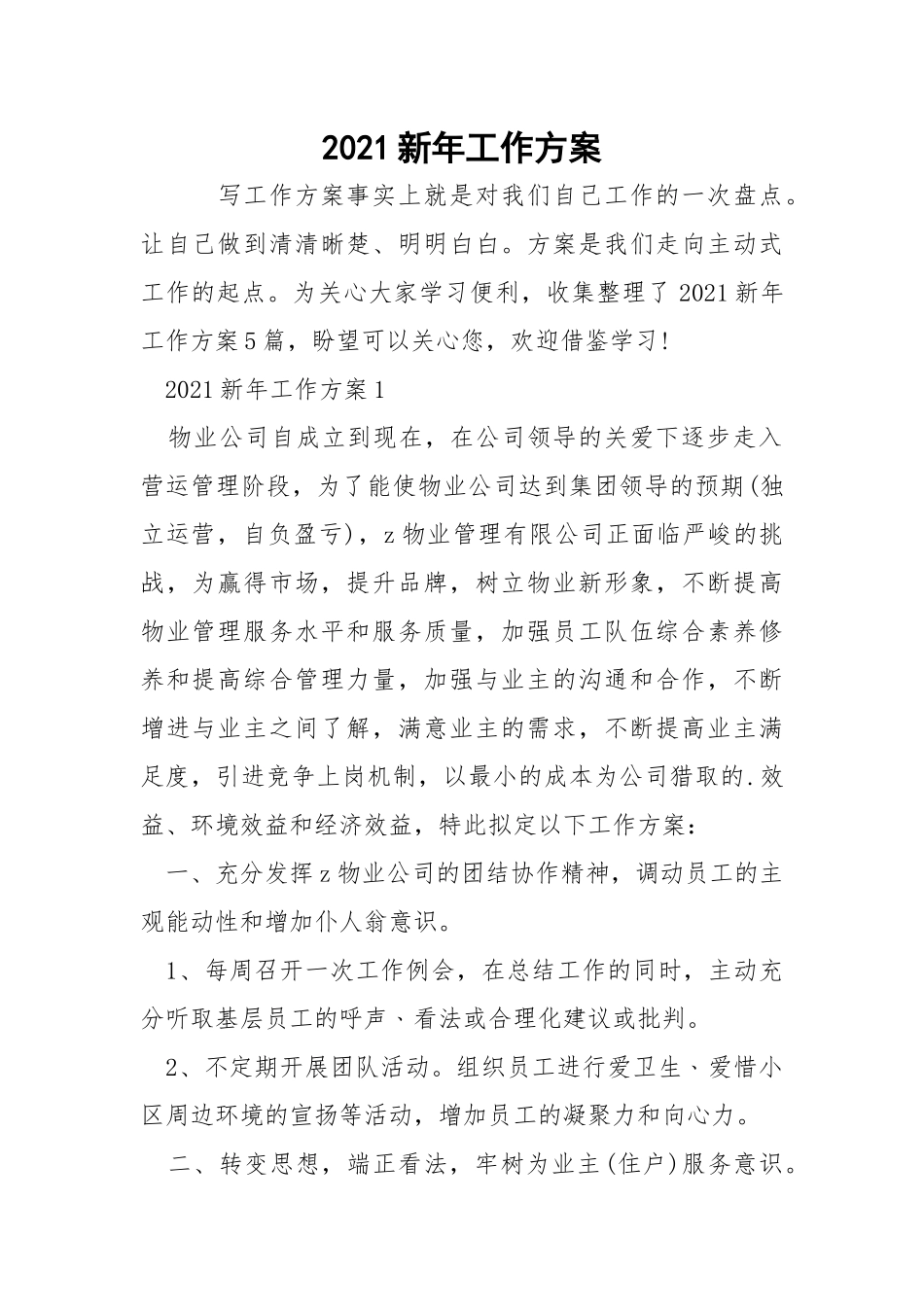 2021新年工作方案.docx_第1页