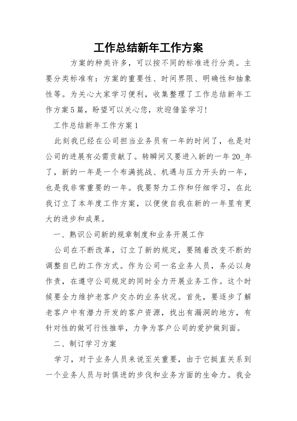 工作总结新年工作方案.docx_第1页