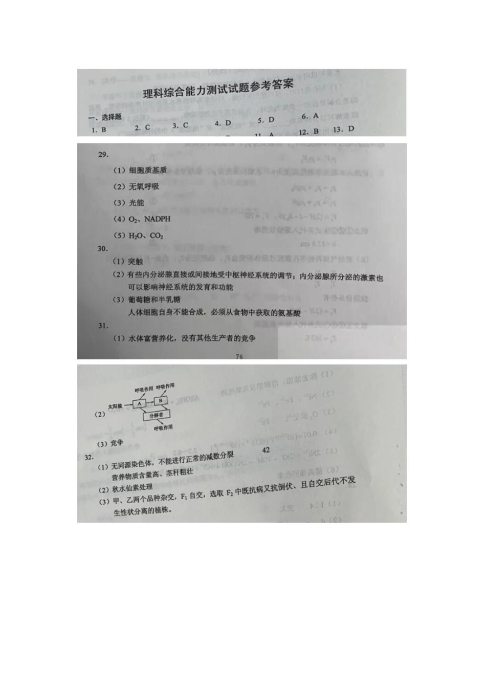 2020年四川高考生物试题答案（word版）.doc_第1页
