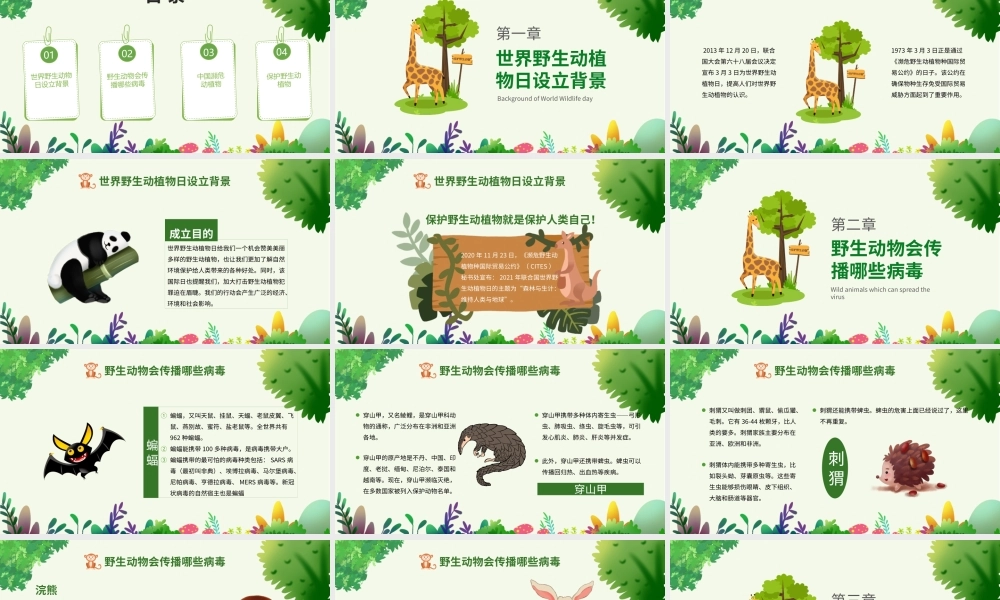 10月4日世界动物日绿色卡通风关爱生命保护野生动物节日介绍PPT课件（带内容）.pptx