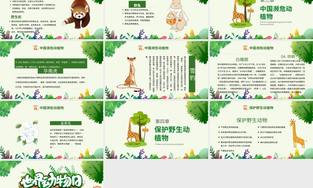 10月4日世界动物日绿色卡通风关爱生命保护野生动物节日介绍PPT课件（带内容）.pptx