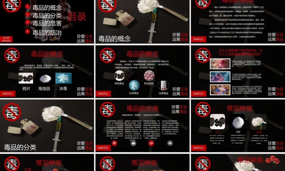 禁毒宣传教育珍爱生命远离毒品PPT课件（带内容）.pptx