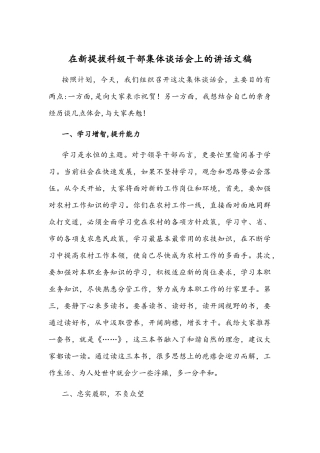 在新提拔科级干部集体谈话会上的讲话文稿.docx