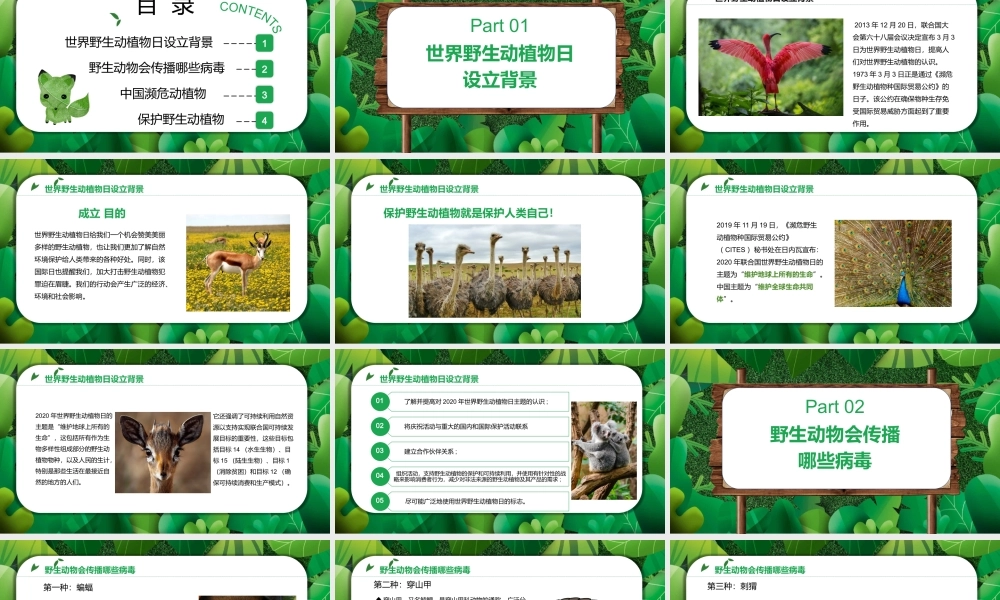 3月3日世界野生动植物日卡通简约风世界野生动植物日知识介绍PPT课件（带内容）.pptx