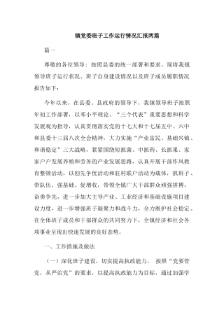 镇党委班子工作运行情况汇报两篇.docx